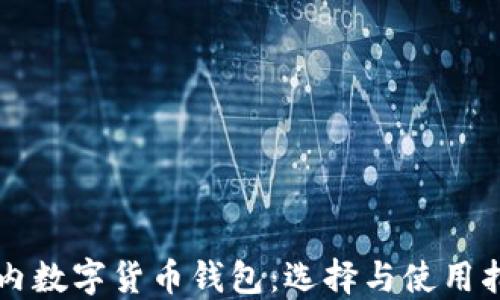 
国内数字货币钱包：选择与使用指南