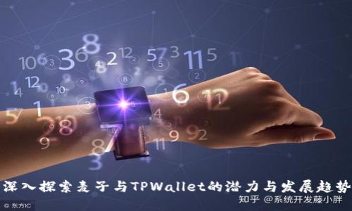 深入探索麦子与TPWallet的潜力与发展趋势