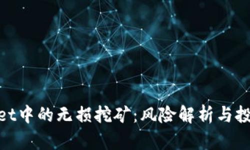 tpwallet中的无损挖矿：风险解析与投资策略