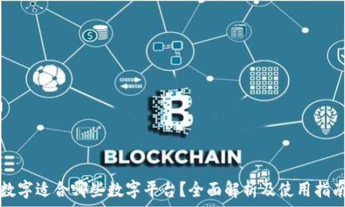   
数字适合哪些数字平台？全面解析及使用指南